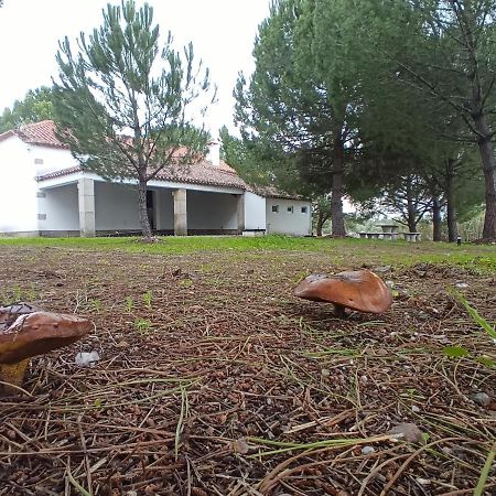 Casa De Perais Villa Kültér fotó