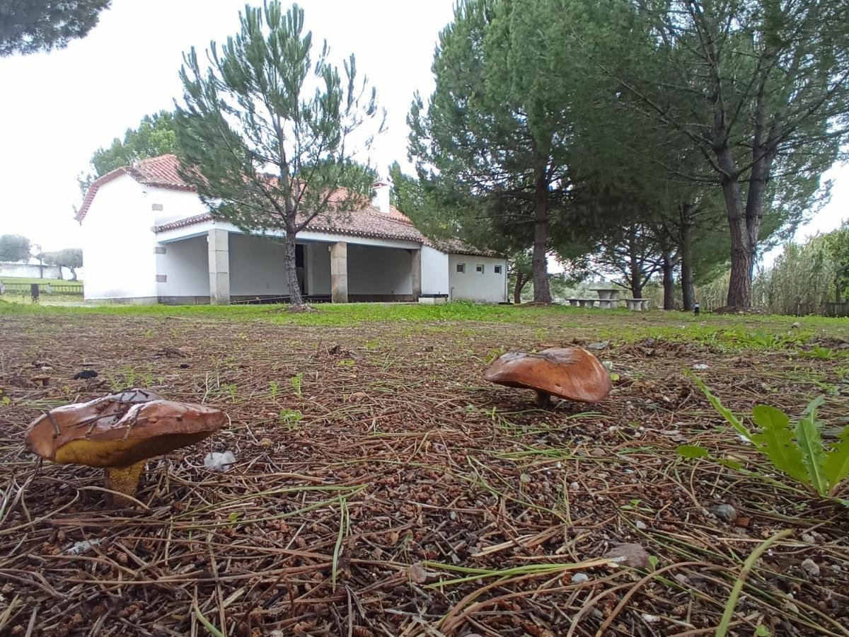 Casa De Perais Villa Kültér fotó